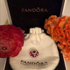 Pandora Charm